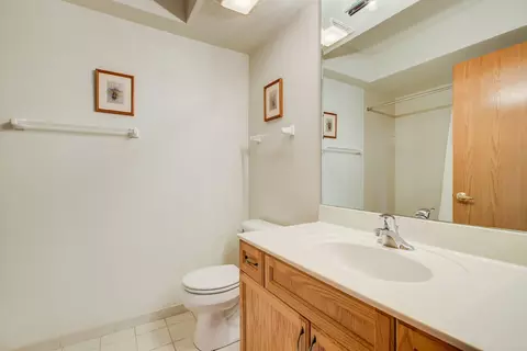 Bath - 1378 Perry St #306, Des Plaines, IL 60016 photo 2 of 3