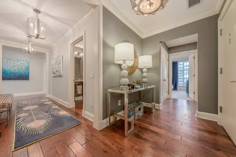 Entry Way - 270 E Pearson St #1103, Chicago, IL 60611 photo 2 of 2