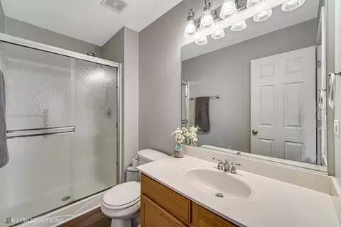Bath - 7710 Sugar Maple Ct, Plainfield, IL 60586 photo 2 of 3