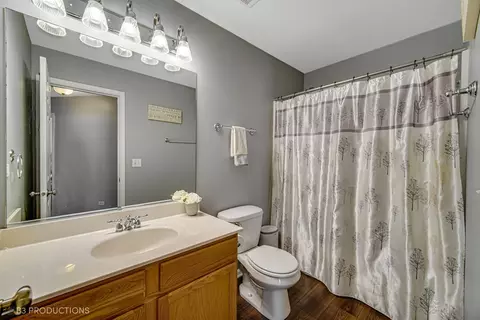 Bath - 7710 Sugar Maple Ct, Plainfield, IL 60586 photo 3 of 3