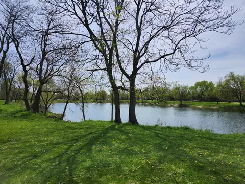 View/Area - 4124 Maple Ave, Lyons, IL 60534 photo 1 of 1