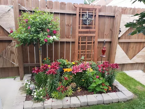 Exterior - 4124 Maple Ave, Lyons, IL 60534 photo 5 of 6