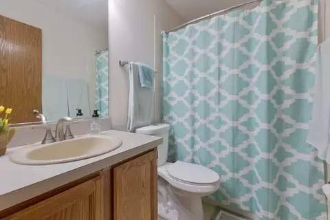 Bath - 877 Dandridge Ct, Elgin, IL 60120 photo 2 of 4