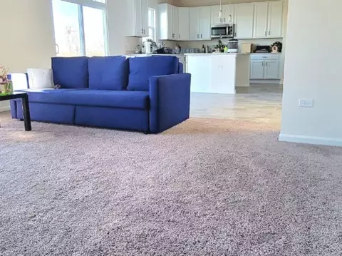 Living - 26524 W Red Apple Rd, Plainfield, IL 60585 photo 1 of 2