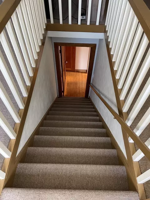 Entry Way - 117 W 3rd St, Spring Valley, IL 61362 photo 1 of 3