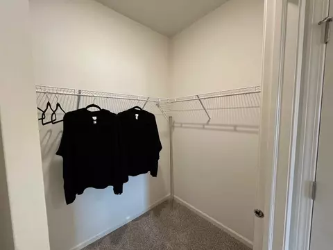 1182 Wood Lily Ln, Bartlett, IL 60103 photo 30