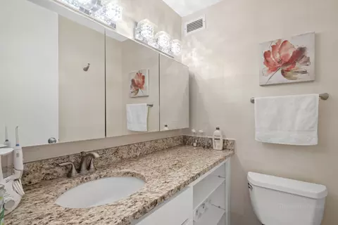 Bath - 360 E Randolph St #3205, Chicago, IL 60601 photo 1 of 3