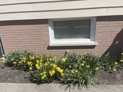 Exterior - 9010 Bartlett Ave, Brookfield, IL 60513 photo 5 of 20
