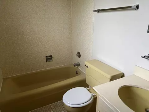 1005 Darius Ln, Naperville, IL 60565 photo 8