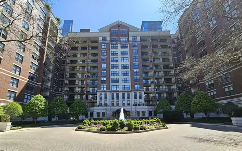 55 W Delaware Pl #303, Chicago, IL 60610