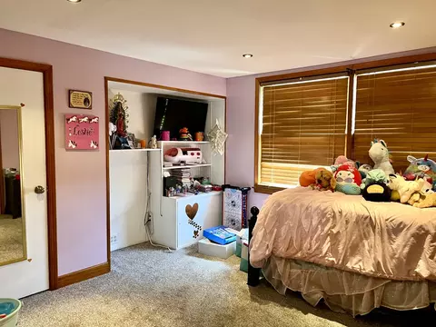 Bedroom - 310 Shooting Park Rd, Peru, IL 61354 photo 4 of 6