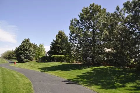 Other - 25258 Trelliage Ave, Plainfield, IL 60585 photo 7 of 9