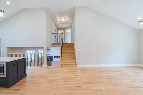 7313 S Octavia Ave, Bridgeview, IL 60455 photo 15