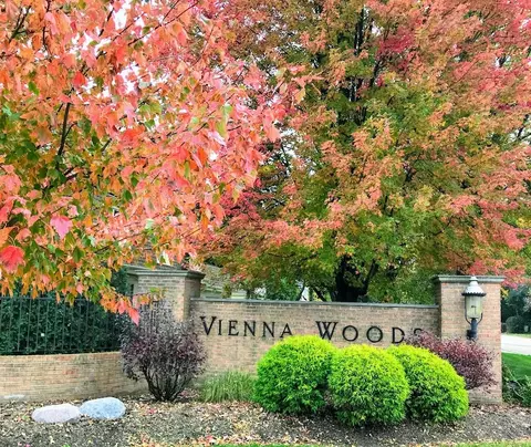 View/Area - 17 Danube Way, Olympia Fields, IL 60461 photo 1 of 1