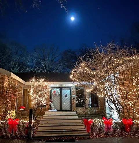 Exterior - 17 Danube Way, Olympia Fields, IL 60461 photo 3 of 8