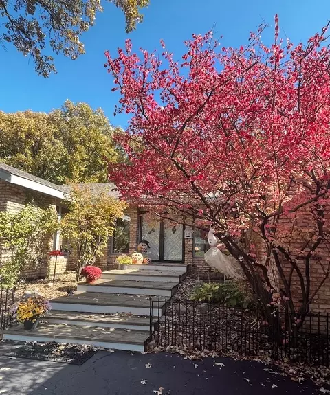 Exterior - 17 Danube Way, Olympia Fields, IL 60461 photo 2 of 8
