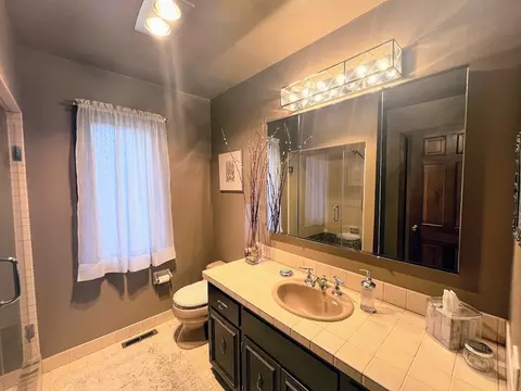 Bath - 17 Danube Way, Olympia Fields, IL 60461 photo 4 of 4