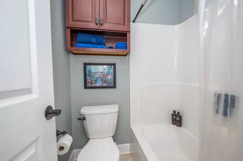 Bath - 16018 S Selfridge Cir, Plainfield, IL 60586 photo 3 of 7