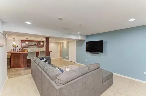 Living - 13125 Cinnamon Cir, Plainfield, IL 60585 photo 9 of 10