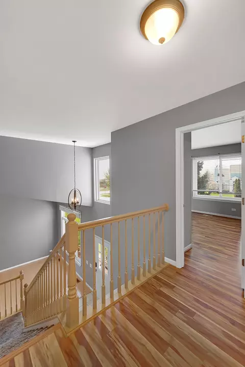 Entry Way - 481 Rose Ln, Bartlett, IL 60103 photo 3 of 3