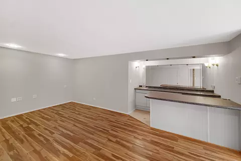 Other - 481 Rose Ln, Bartlett, IL 60103 photo 12 of 16