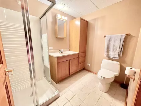 Bath - 140 Dallas Dr, Bartlett, IL 60103 photo 5 of 5
