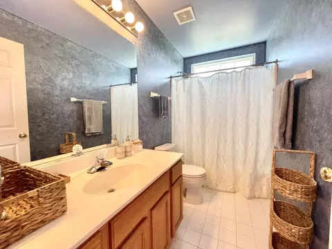 Bath - 140 Dallas Dr, Bartlett, IL 60103 photo 4 of 5