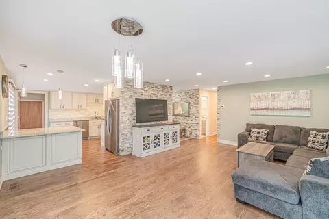 Living - 224 Pinecroft Dr, Roselle, IL 60172 photo 1 of 4