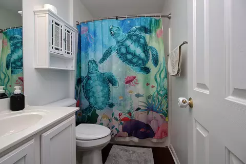 Bath - 2105 Beldon Ct, Plainfield, IL 60586 photo 3 of 4