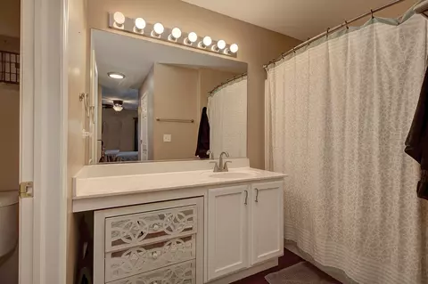Bath - 2105 Beldon Ct, Plainfield, IL 60586 photo 2 of 4