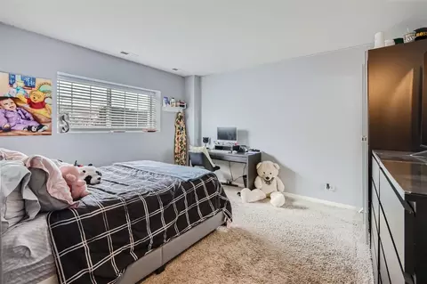 1767 Ruby Dr, Pingree Grove, IL 60140 photo 17