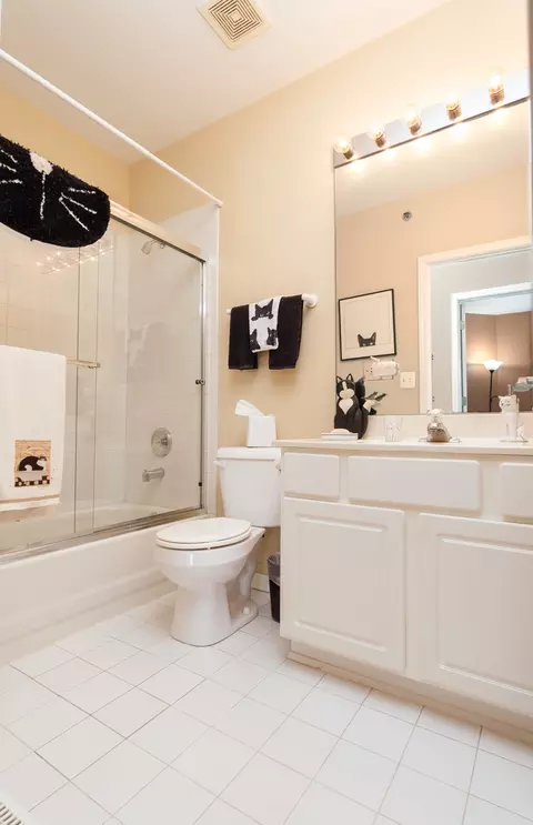 Bath - 240 Prairie View Ln, Wheeling, IL 60090 photo 1 of 4