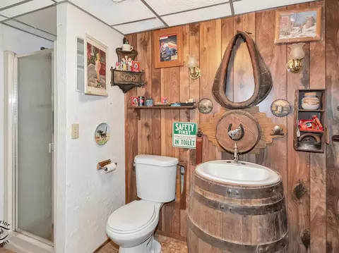 Bath - 25304 W Willow Dr, Plainfield, IL 60544 photo 3 of 3