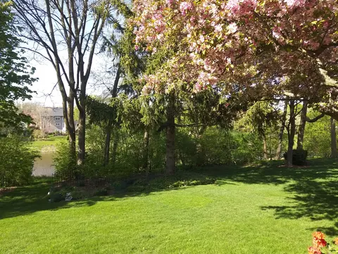 1365 E Gartner Rd, Naperville, IL 60540 photo 5