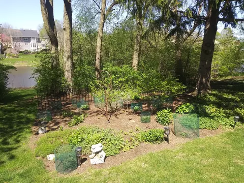 1365 E Gartner Rd, Naperville, IL 60540 photo 2