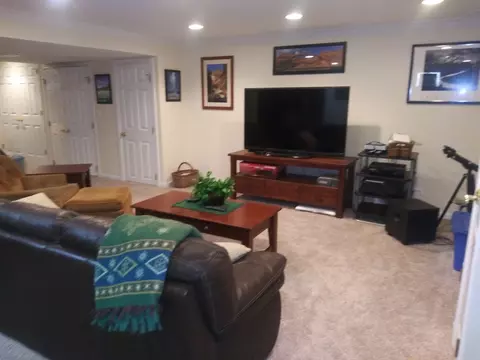 1365 E Gartner Rd, Naperville, IL 60540 photo 29