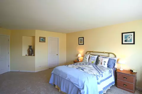 Bedroom - 24731 Generation Dr, Plainfield, IL 60585 photo 2 of 9