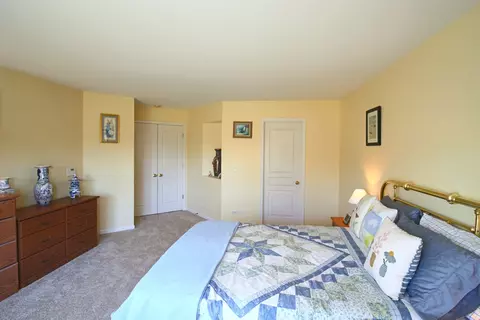 Bedroom - 24731 Generation Dr, Plainfield, IL 60585 photo 3 of 9