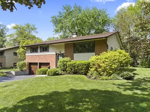234 N Lytle Dr, Palatine, IL 60074