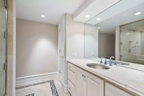Bath - 239 Wood Glen Ln, Oak Brook, IL 60523 photo 5 of 5