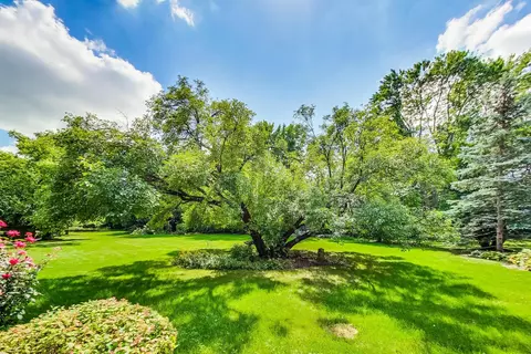 17 W231 Hillside Ln, Willowbrook, IL 60527 photo 57