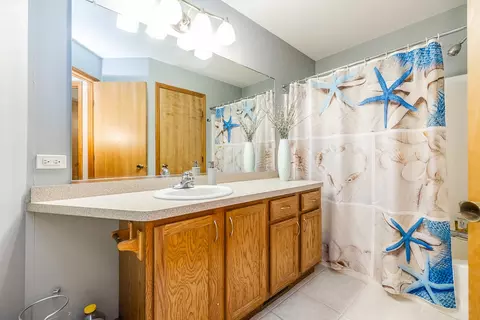 Bath - 285 Hunters Dr, Beecher, IL 60401 photo 1 of 4