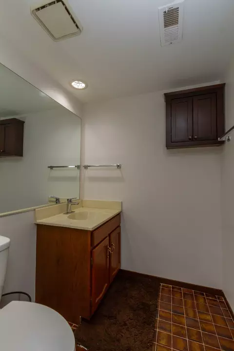 Bath - 870 Tanglewood Dr, Wheeling, IL 60090 photo 1 of 3