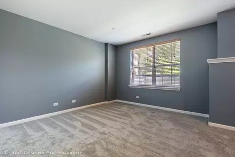286 Broadmoor Ln, Bartlett, IL 60103 photo 17
