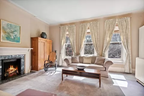 Living - 50 E Cedar St, Chicago, IL 60611 photo 6 of 6