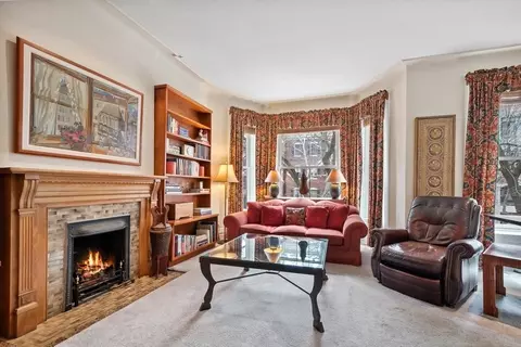 Living - 50 E Cedar St, Chicago, IL 60611 photo 4 of 6