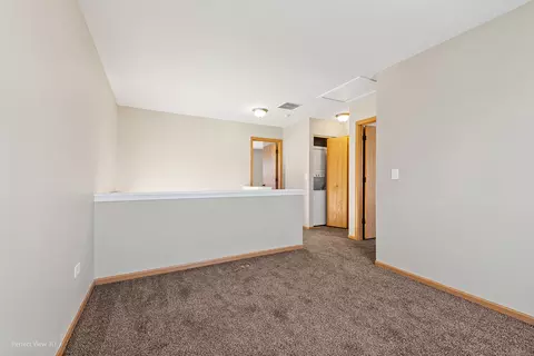 1461 Red Top Ln, Minooka, IL 60447 photo 11