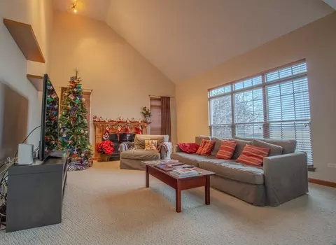Living - 23616 Denise St, Plainfield, IL 60585 photo 1 of 5