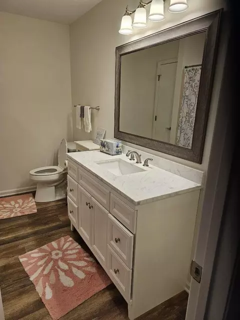 Bath - 13805 S Mandarin Ct, Plainfield, IL 60544 photo 4 of 4