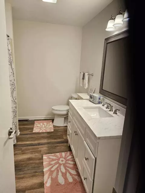 Bath - 13805 S Mandarin Ct, Plainfield, IL 60544 photo 3 of 4